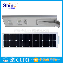 The Most Popular Style Energy Saving 12V/25W Garden Oasis Solar Lights with PIR Sensor CE/RoHS/IP65 Approved